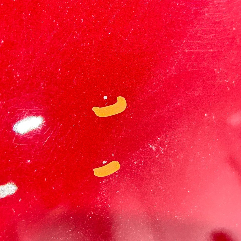 2018-2023 GMC TERRAIN FRONT PASSENGER EXTERIOR DOOR SHELL PANEL OEM RED ...