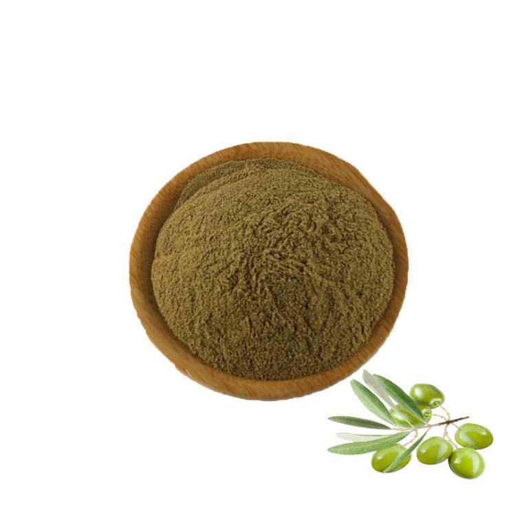 200g Olive Leaf Extract Powder 10% Oleuropein | eBay Australia