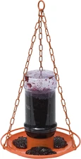 Perky-Pet 253 Wild Oriole Jelly Bird Feeder - 32 Ounce Feeder Capacity
