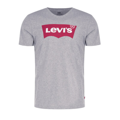TMGE Levi's スカルプリント Tシャツ グレー S TMGE Levi's スカルプリント Tシャツ グレー S ミュージシャン