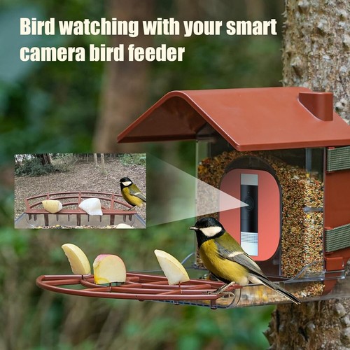 Alimentatore intelligente per tutte le stagioni con custodia fotocamera ad anello - perfetto per gli amanti degli uccelli - Foto 4 di 8