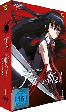 Akame ga Kill - Box 1 [2 DVDs] von Tomoki Kobayashi | DVD | Zustand sehr gut