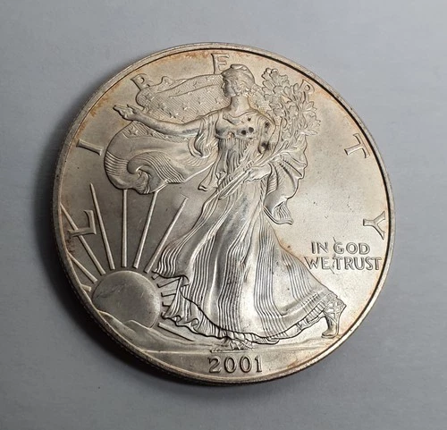 2001 $1 Dollar American Silver Eagle / Walking Liberty  Coin 1 Ounce Fine Silver