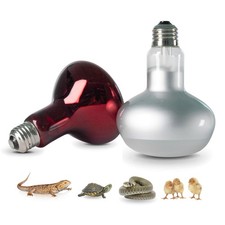 Reptile heat lamp 150W day and night basking bulb 2 pack combo