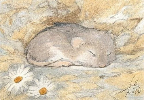 ACEO orig.pastel drawing sleeping little rat, mouse by Anna Hoff Germany