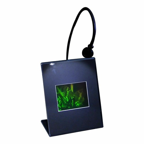 HOLOGRAMA DE MARIPOSA 3D IMAGEN SOPORTE DE ESCRITORIO ILUMINADO Película tipo haluro plateado - Imagen 2 de 7