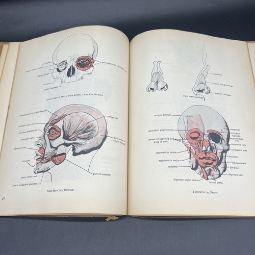 HEIDI LENSSEN ART AND ANATOMY 1946 1ST EDITION Soft bound with cover - Foto 9 di 10