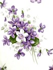 Bild 7 von 24
