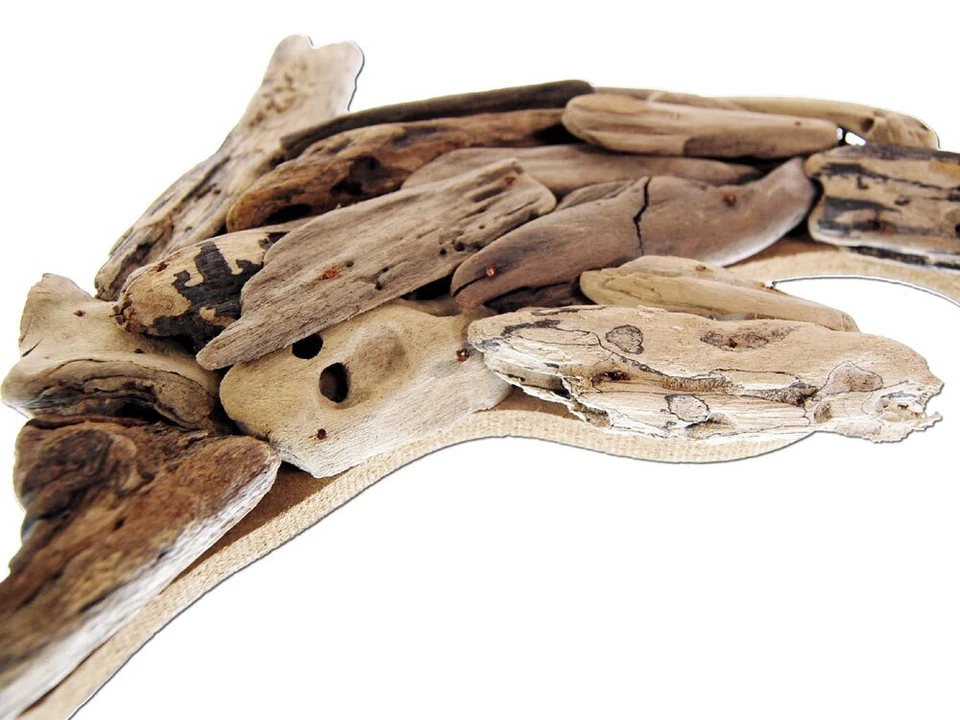 SEESTERN Treibholz Deko mit Delphin ( 33 cm ) Motiv Wanddeko Driftwood Holzdeko - Bild 3 von 4