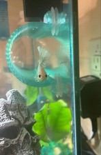 SeeShelter™ Betta Tunnel - Custom Made in USA