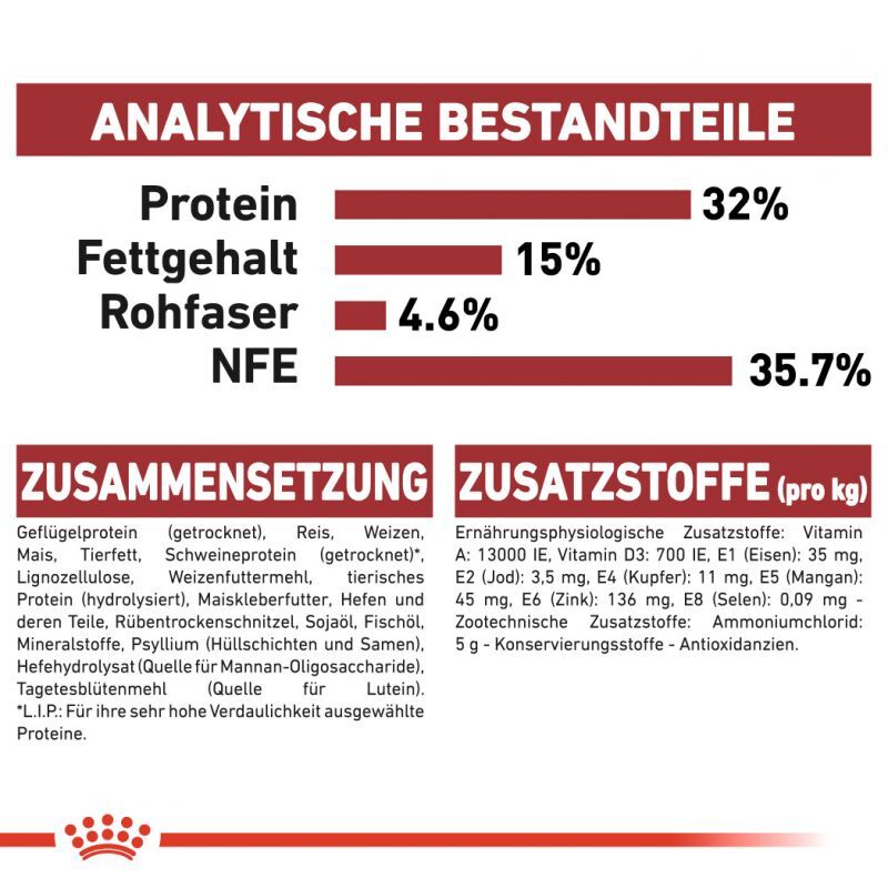 Bild 5 von 5
