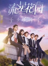 Meteor Garden 2018 Chinese Drama DVD with Good English Subtitle