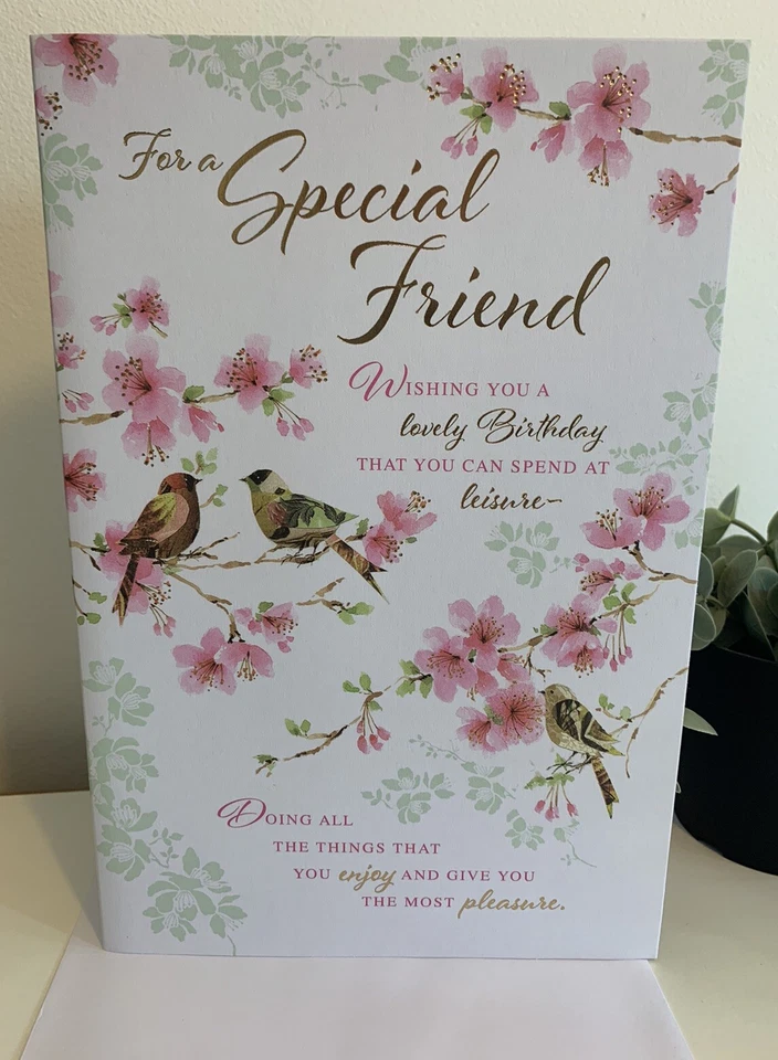 HALLMARK Special Friend FEMALE Birthday Card /with Lovely Verse Card (9 x 6.25") Inserted