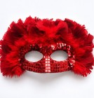 Red Feather Masquerade Mask Costume Halloween Mardi Gras Carnival