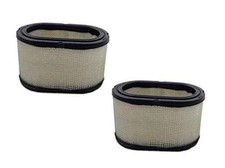 AF27906 Air Filter Primary, Cummins Onan 1402897 Pack of 2