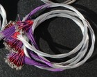 Foto 1 di 9