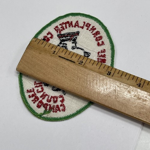 Chief Cornplanter Council Patch Camporee Boy Scout Badge BSA 1971 Vintage Snoopy - Picture 4 of 4