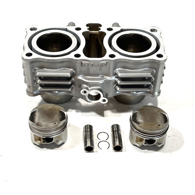 2013 to 2017 Suzuki Inazuma GW 250, Cylinder & Pistons, P/N 11210-48H01-0F0