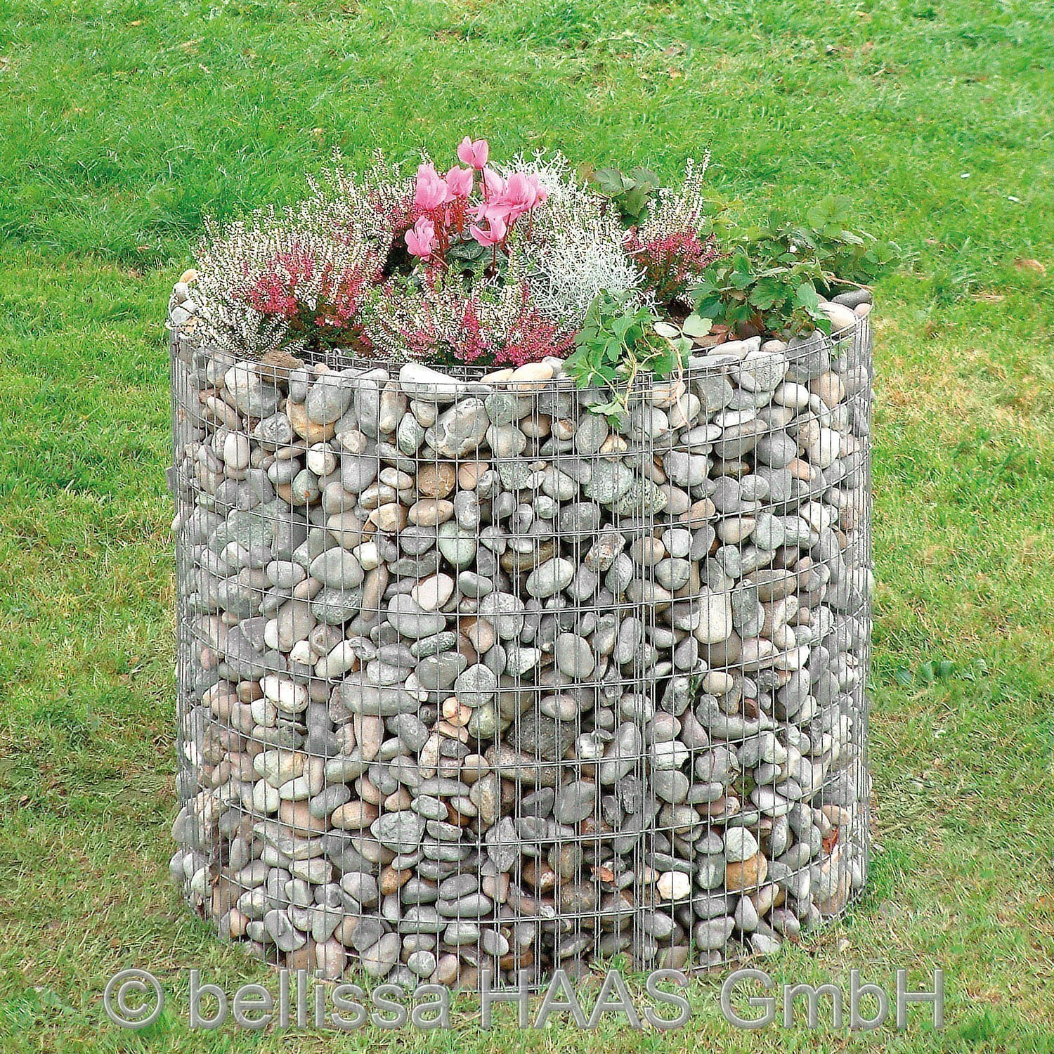Bild 1 von 1