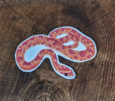 Maisnatter Namensschild Aufkleber Vinyl Tier handbemalt Acryl Sticker