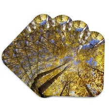 3dRose CST_97660_1 USA, Pacific Northwest. Aspen Trees in Autumn-US52 SWE0000...