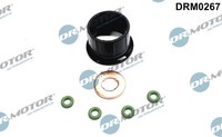 Dichtungsset, EinspritzdüSe Dr. Motor Automotive DRM0267 FüR Oe 1981.43