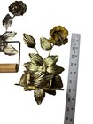 Foto 11 di 12