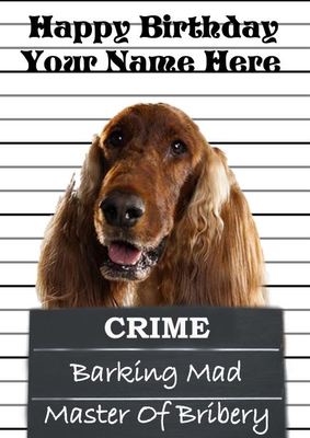 happy birthday irish setter