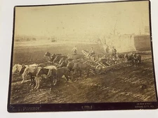 Vtg 1889 New Era Grader C T Pomeroy Kanas City Missouri Horse Drawn Real Photo