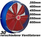 Bild 6 von 6