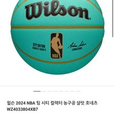 Wilson NBA Charlotte Hornets City Edition Basketball
