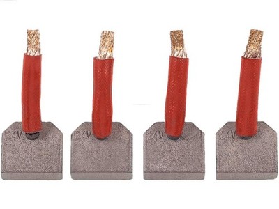 AS-PL SB5008 Carbon Brush, Starter