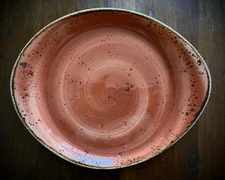 Steelite International Terracotta 9.75" x  8"  Freestyle Salad Plate England