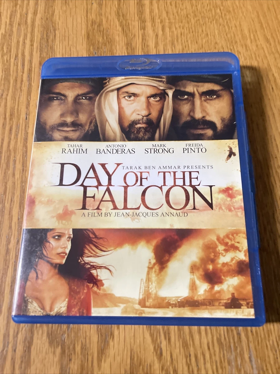 Day Of The Falcon Poster