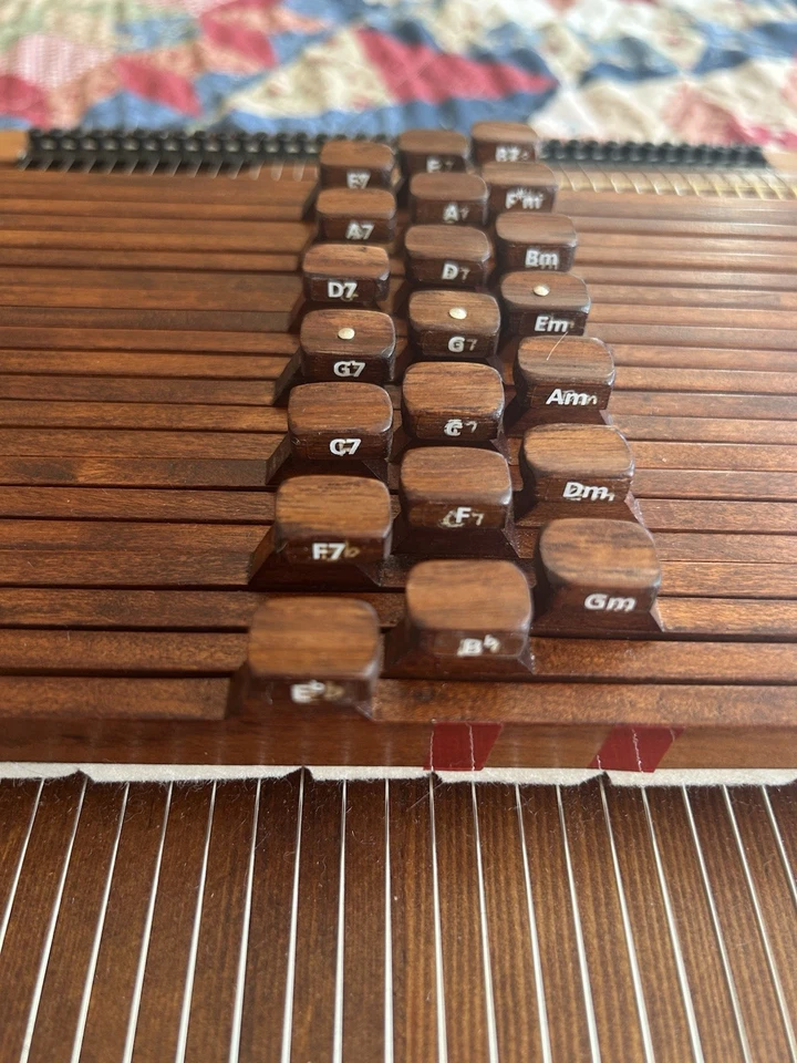 Hermosa pastilla Ray Choi AUTOHARP 38 cuerdas 21 acordes lista para tocar Foto 4 de 4