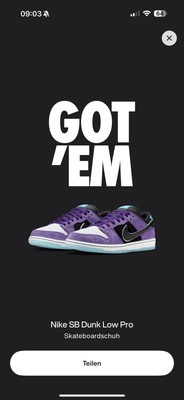Hayley Wilson x Nike SB Dunk Low Pro Black Court Purple