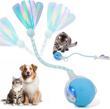 Interactive Cat Toys for Indoor Cats  Dogs, Agile Moving Cat Ball with Elastic