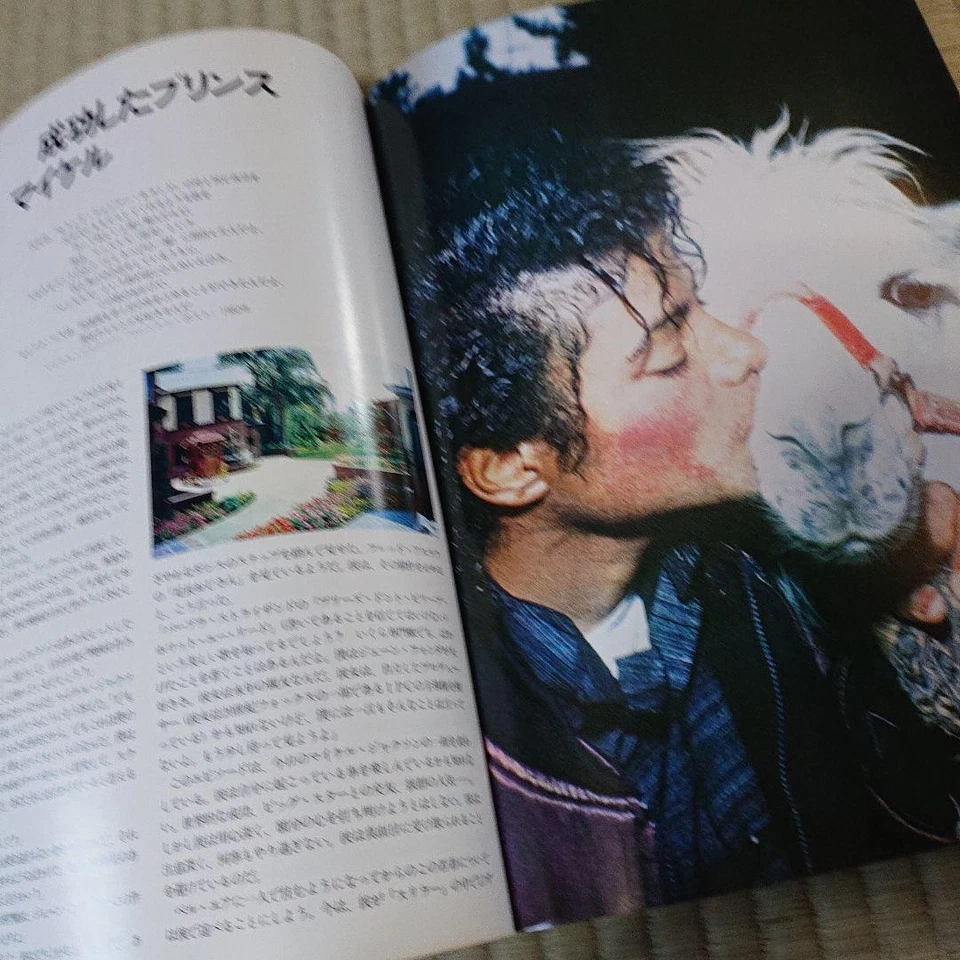 Michael Jackson Photo Book 1985 Edition - Image 3 of 4