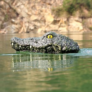 rc crocodile head