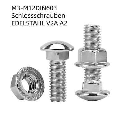 Schloßschrauben mit Muttern A2 DIN603 Flachrundschrauben M3,M4,M5,M6,M8,M10,M12