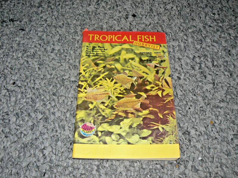 FIVE  Tropical Fish Hobbyist     AUGUST 1965 and Four other ,  Vintage