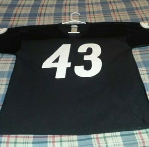 troy polamalu jersey ebay