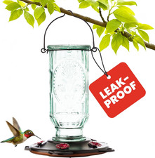 More Birds Vintage Hummingbird Feeder, Antique Glass Bottle, 5 Feeding Ports, 20