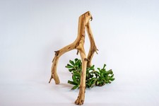 Manzanita Aquarium Driftwood Branch Aquascape, Reptiles, Home D cor 13"