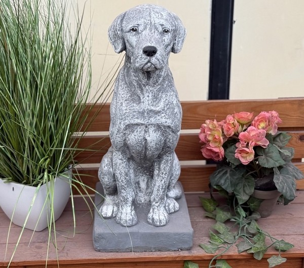Frostfeste Steinfigur Dogge Groß Gartenfigur Steinguss 48 Cm Wetterfest Stein-image