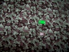 Wet Nose Designs CAT or KITTEN COLLAR COLOR BUCKLE Muddy Trails Camo Camouflage