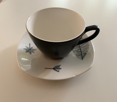 Vintage Midwinter Stylecraft ~ Naturstudie Terence Conran ~ Kaffeetasse & Untertasse (F)