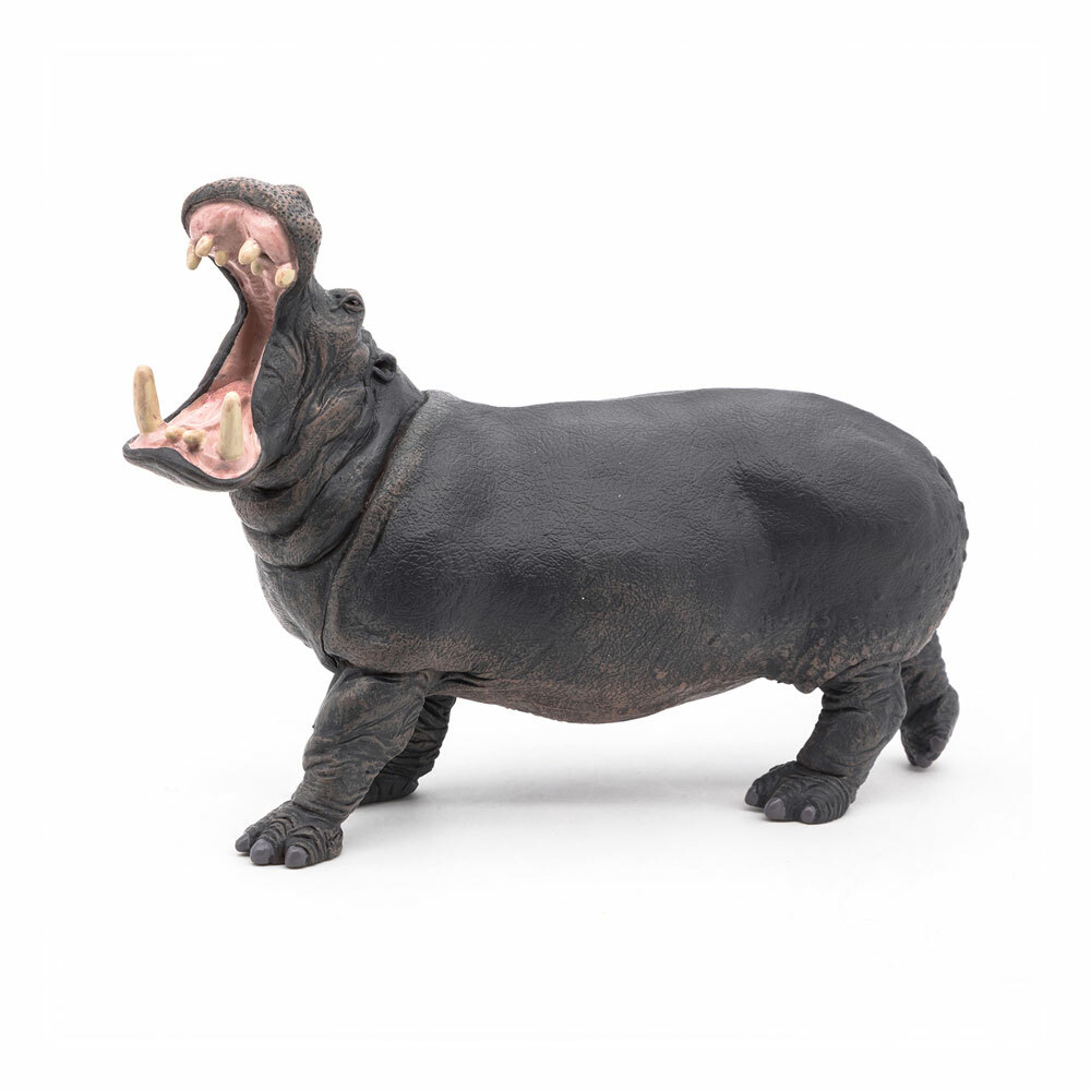 PAPO Wild Animal Kingdom Hippopotamus Toy Figure | eBay PAPO Wild Animal Kingdom Hippopotamus Toy Figure | eBay