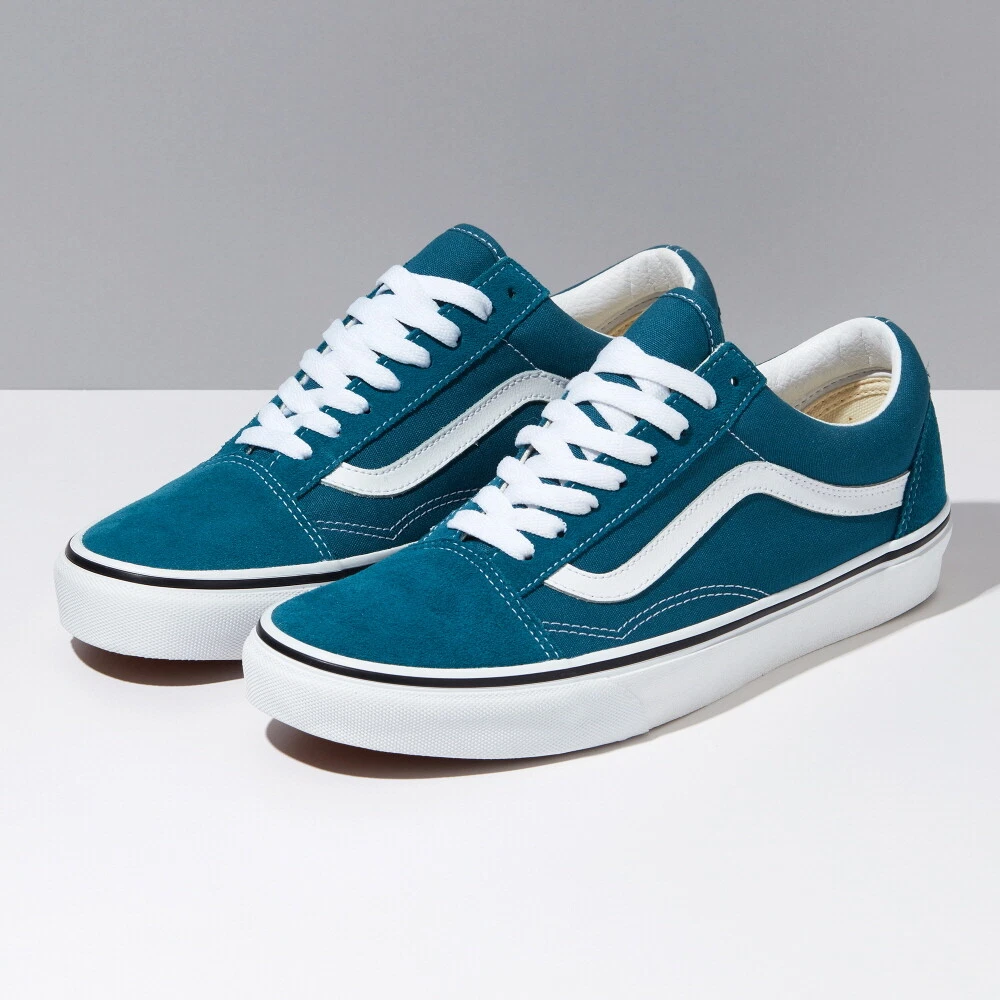 Vans old skool skate shoe blue sale