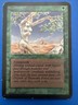 Vintage~Magic the Gathering~MTG💥Shanodin Dryads💥1993~Limited Alpha Edition